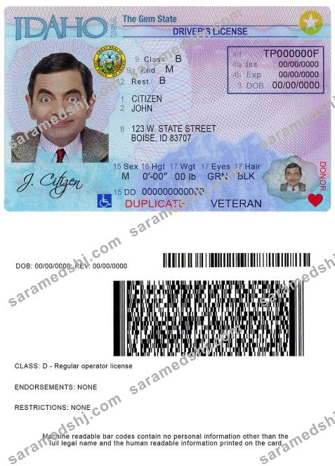 USA Idaho driver license